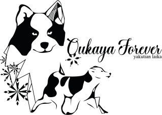 Logo 1 - Oukaya Forever