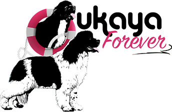 Logo 2 - Oukaya Forever